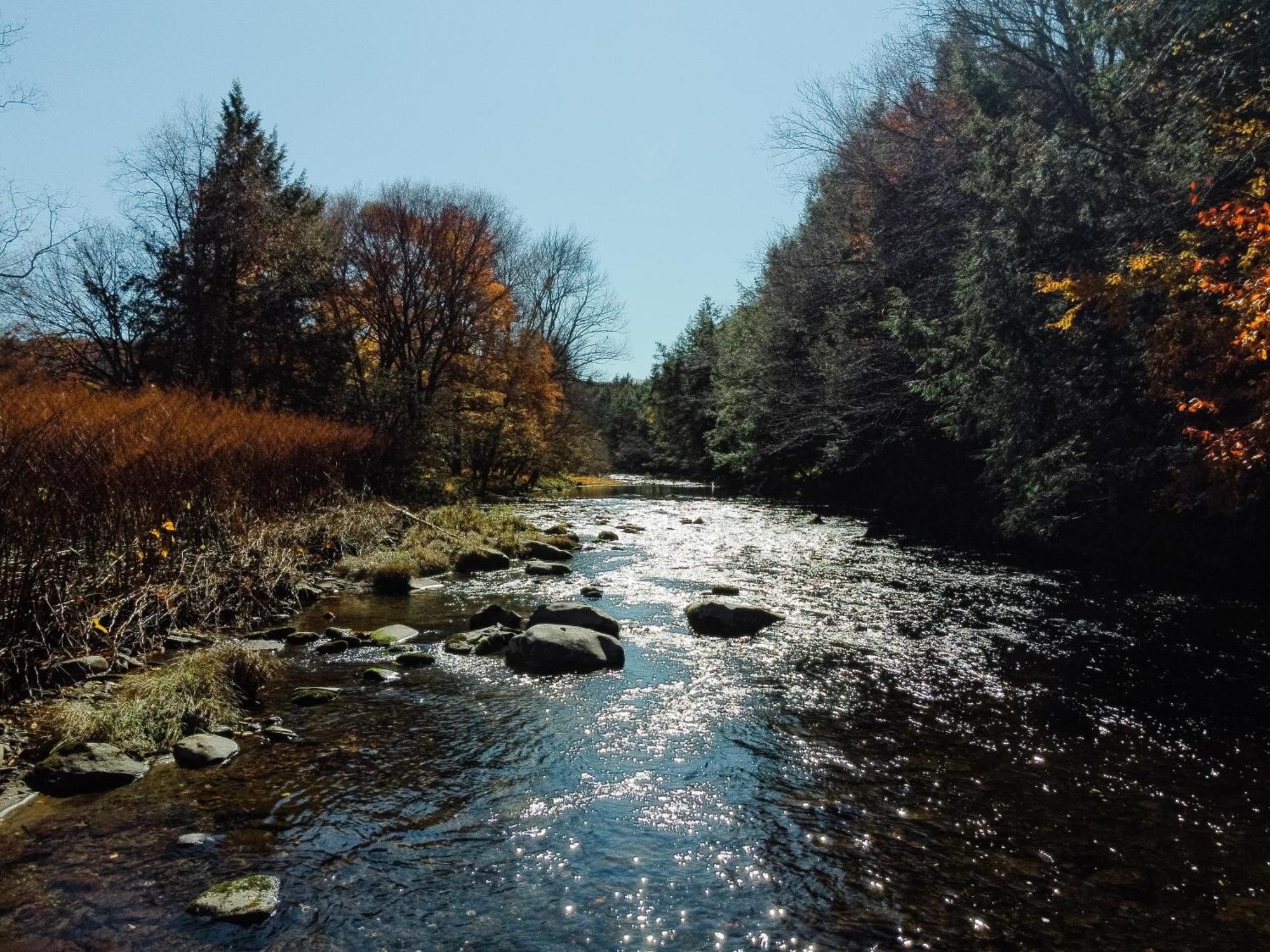 Hotel Antrim Streamside Livingston Manor Exterior foto