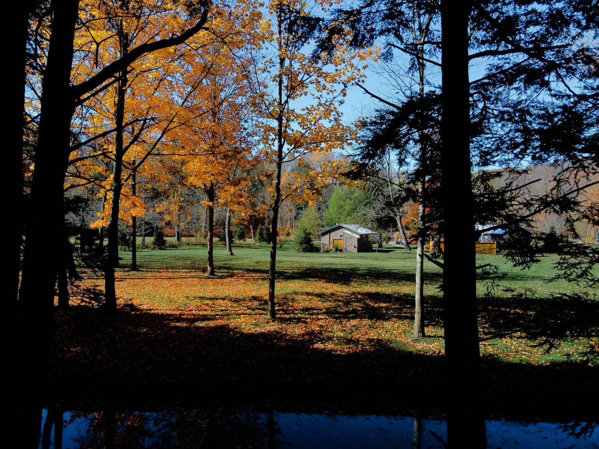 Hotel Antrim Streamside Livingston Manor Exterior foto